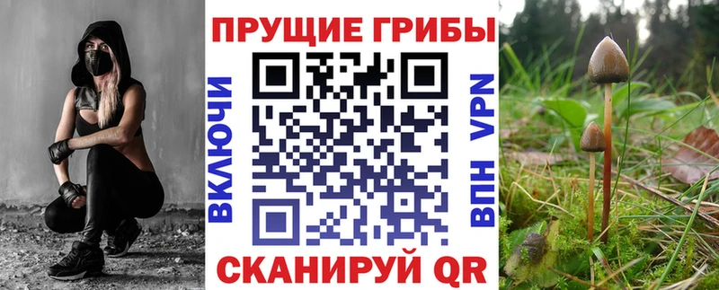 кракен tor  Яблоновский  Псилоцибиновые грибы Psilocybe  где найти наркотики 